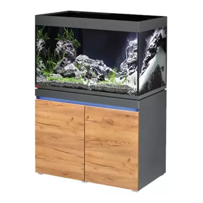 Eheim Incpiria 330 Graphite/Nature - aquarium équipé