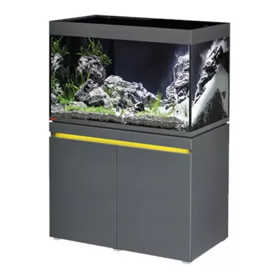 Eheim Incpiria 330 Graphite - aquarium équipé