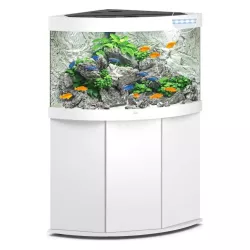 Juwel Trigon 190 Led Blanc - aquarium équipé avec meuble