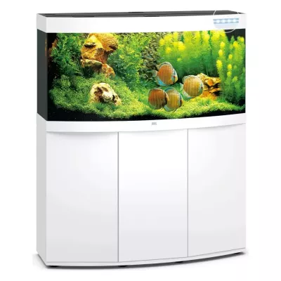 Juwel Vision 260 Led Blanc - aquarium équipé avec meuble