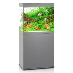 Juwel Lido 120 Led Gris - aquarium équipé avec meuble