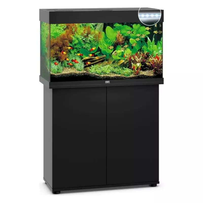 Juwel Rio 125 Led Noir - aquarium équipé avec meuble