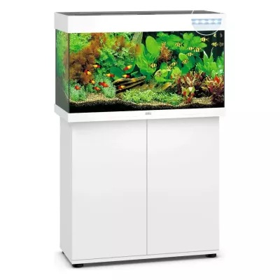 Juwel Rio 125 Led Blanc - aquarium équipé avec meuble