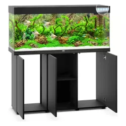 Juwel Rio 240 Led Noir - aquarium équipé avec meuble