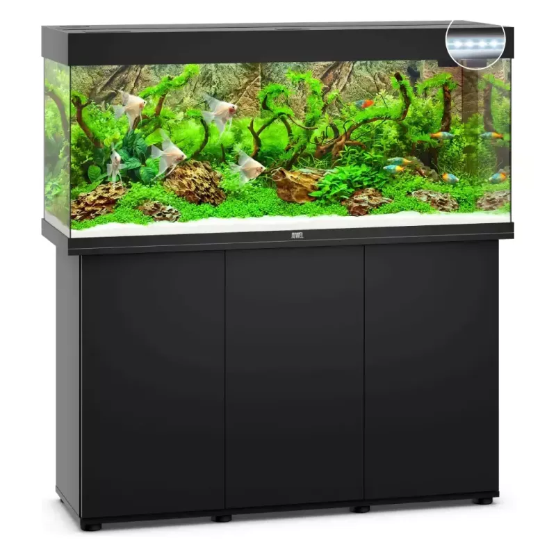 Juwel Rio 240 Led Noir - aquarium équipé avec meuble