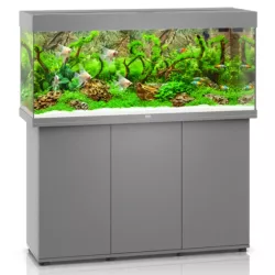 Juwel Rio 240 Led Gris - aquarium équipé avec meuble