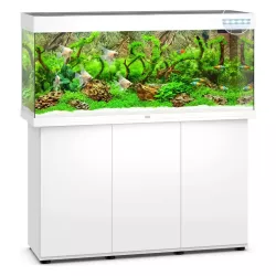 Juwel Rio 240 Led Blanc - aquarium équipé avec meuble