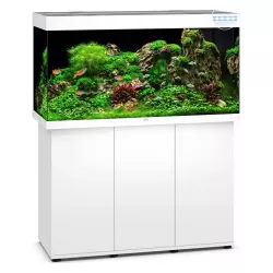 Juwel Rio 350 Led Blanc - aquarium équipé avec meuble