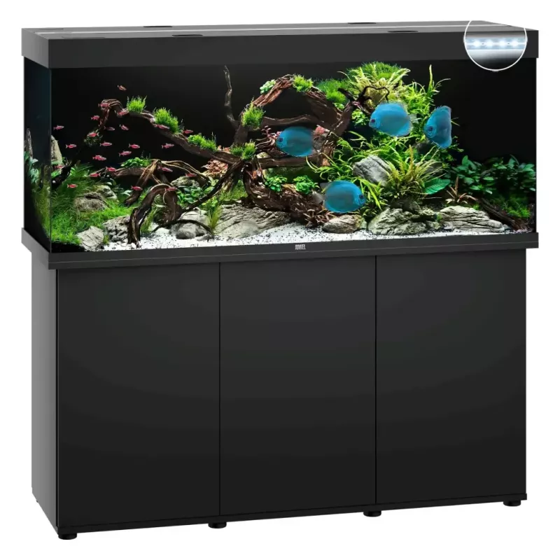 Juwel Rio 450 Led Noir - aquarium équipé avec meuble