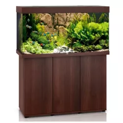 Juwel Rio 350 Led Brun - aquarium équipé avec meuble