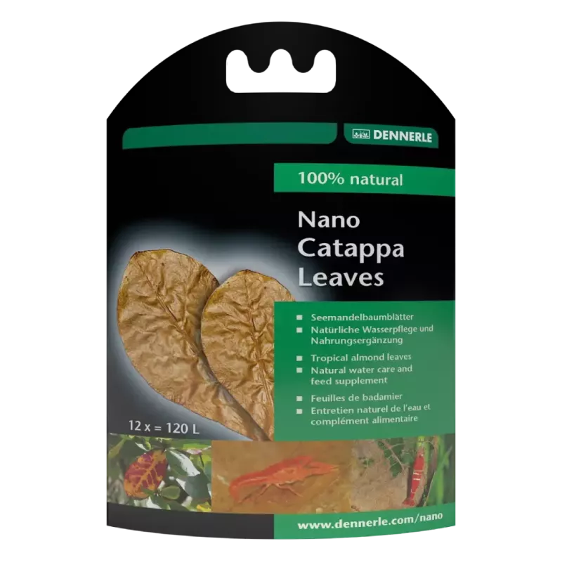 Dennerle Nano Catappa Leaves - feuilles de catappa